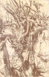 Grafik 12
