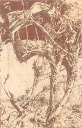 Grafik 7